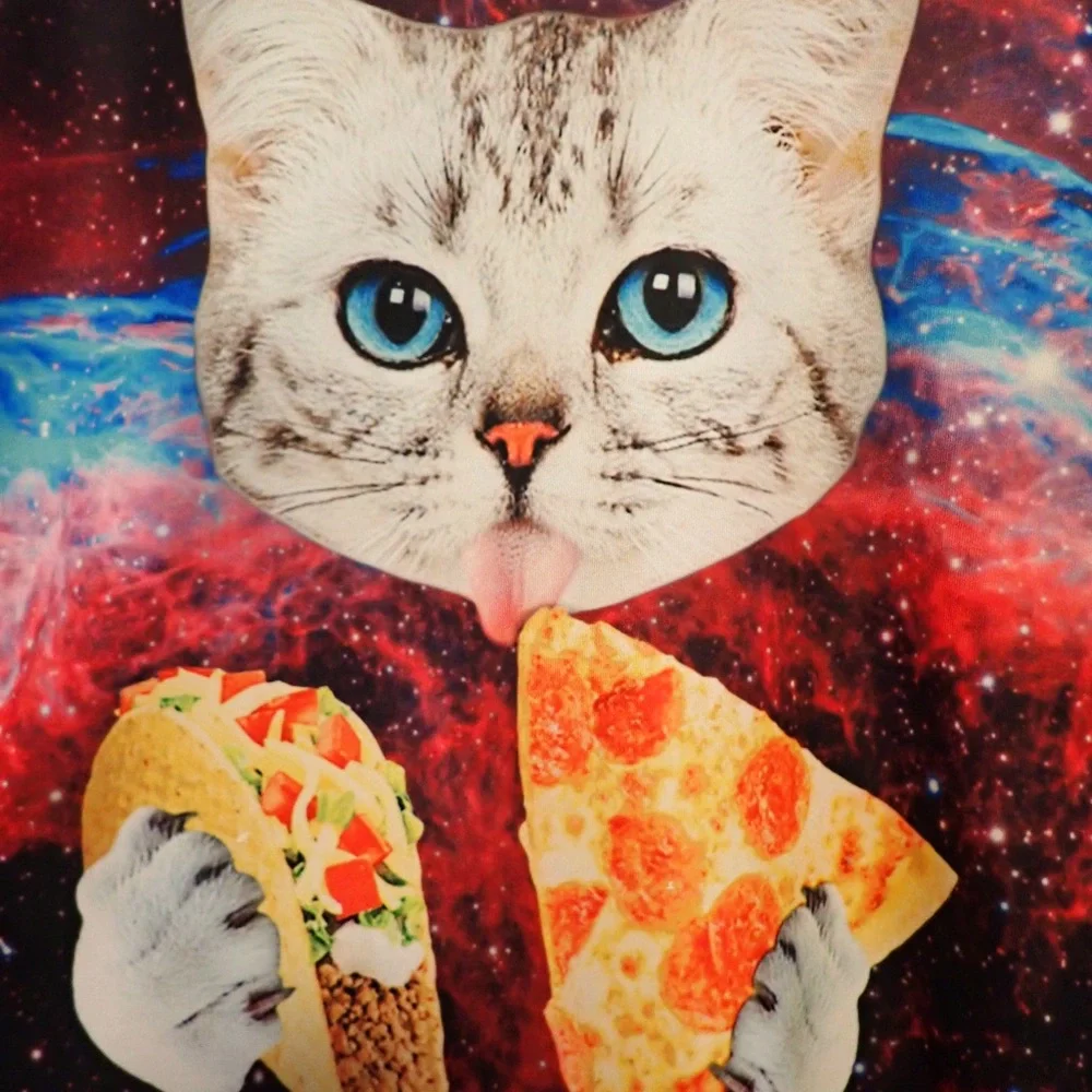 Cosmic Cat Sweatshirt with Tacos and Pizza